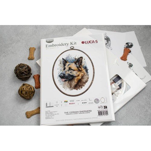 Luca-S - German shepherd