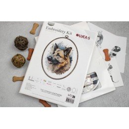 Luca-S - German shepherd