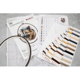 Luca-S - German shepherd