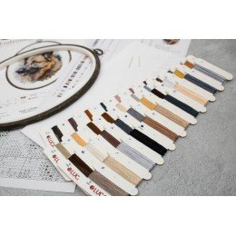 Luca-S - German shepherd