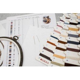 Luca-S - German shepherd