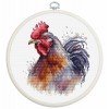 Luca-S - Gallo