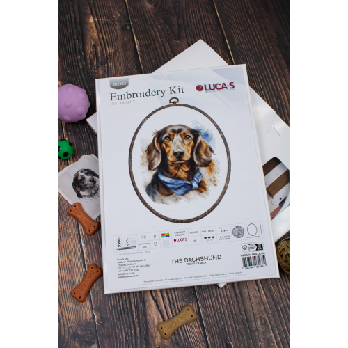 Luca-S - The dachshund