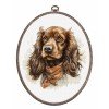 Luca-S - The cocker spaniel