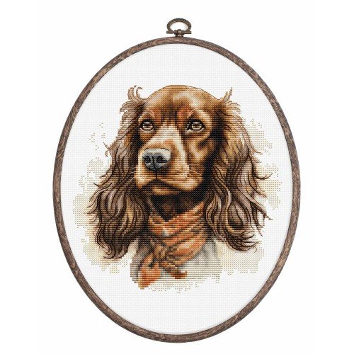 Luca-S - The cocker spaniel