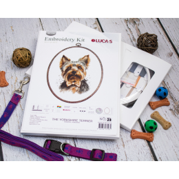 Luca-S - Yorkshire terrier