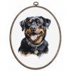 Luca-S - Rottweiler