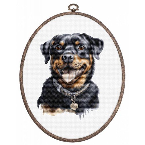 Luca-S - Rottweiler