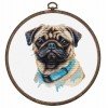 Luca-S - Pug