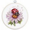 Luca-S - Field flower