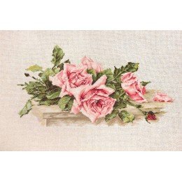 Luca-S - Pink roses