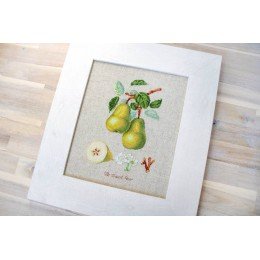 Luca-S - The dauch pear