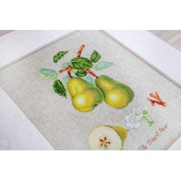 Luca-S - The dauch pear