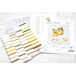 Luca-S - The pear shaped quince