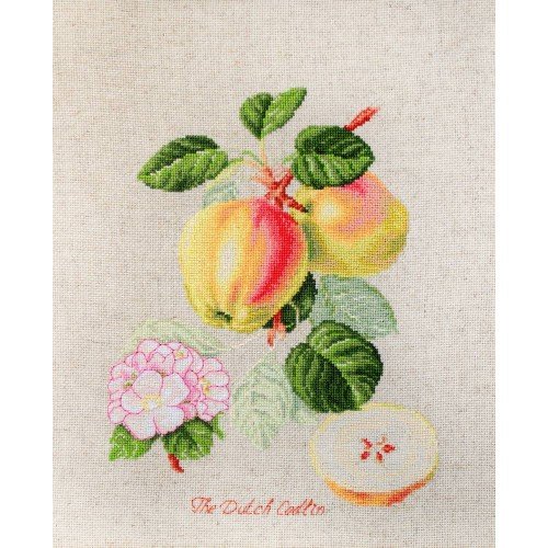 Luca-S - The dutch codlin