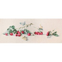 Luca-S - Raspberries with butterfly