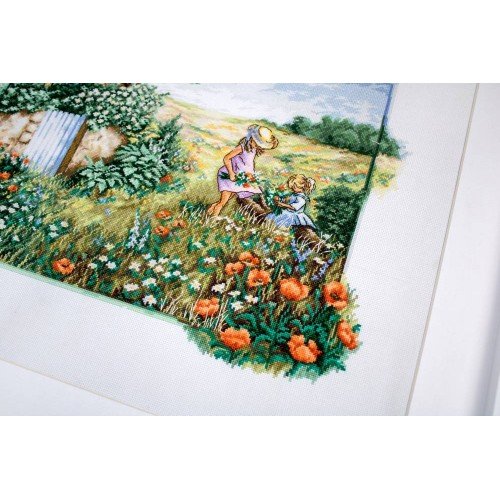 Luca-S - Landscape with poppies