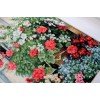 Luca-S - Terraza con flores