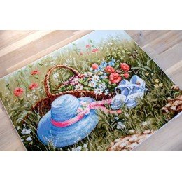 Luca-S - Pradera con amapolas