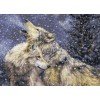 Luca-S - Snowfall