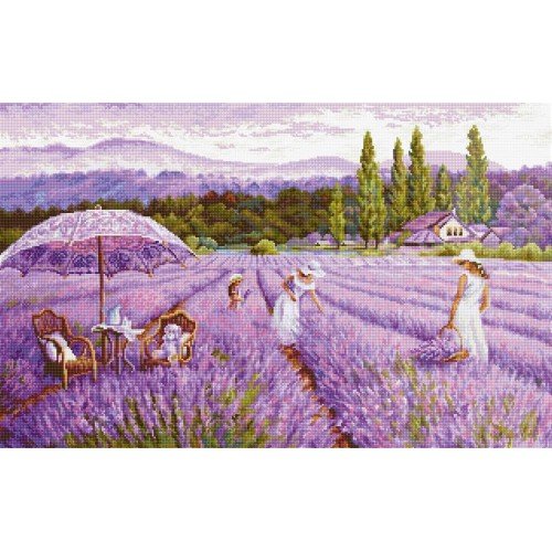 Luca-S - Campo de lavanda
