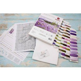 Luca-S - Lavender field