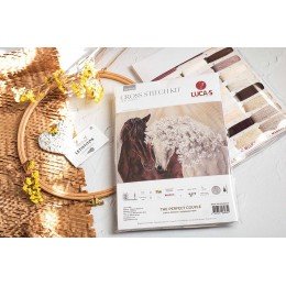 Luca-S - The perfect couple