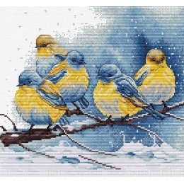 Luca-S - Eastern bluebirds