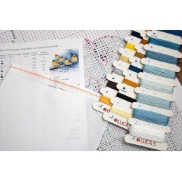 Luca-S - Eastern bluebirds