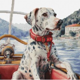 Luca-S - Dalmatian on Lake Como