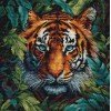 Luca-S - Tigre de la selva