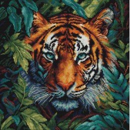 Luca-S - Tigre de la selva