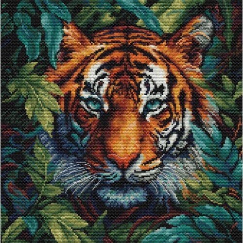 Luca-S - Tigre de la selva