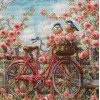 Luca-S - Bicycle with Roses