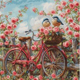 Luca-S - Bicycle with Roses