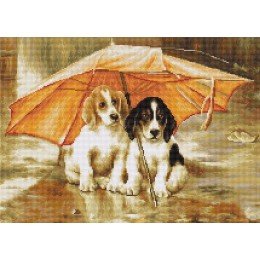 Luca-S - Couple under an umbrella