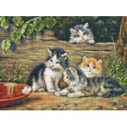 Luca-S - The cats