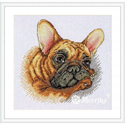Merejka - French Bulldog