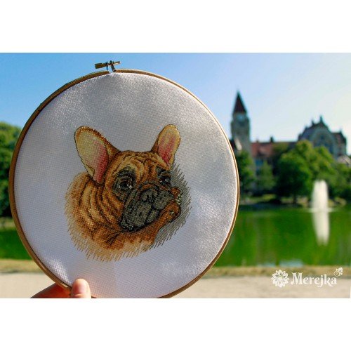 Merejka - French Bulldog