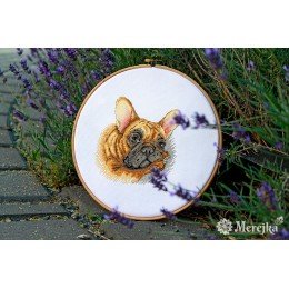 Merejka - French Bulldog