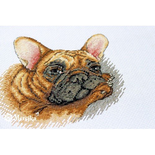 Merejka - French Bulldog