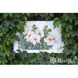 Merejka - Garden Beauties