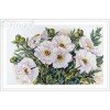 Merejka - White Flowers
