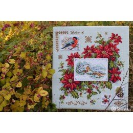 Merejka - Muestrario de invierno