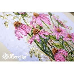 Merejka - Coneflowers