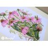 Merejka - Coneflowers