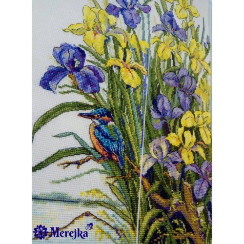 Merejka - Kingfisher