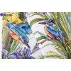 Merejka - Kingfisher