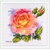 Merejka - Rose
