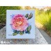 Merejka - Rose